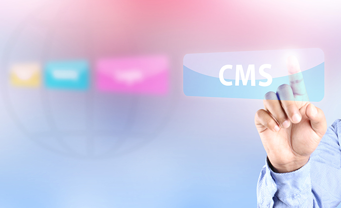 クラウドCMSのメリットは、特定の目的に合わせてサーバやソフトウェア、セキュリティ対策を、サービスとして利用可能な点にある。